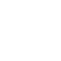Sonius иконка